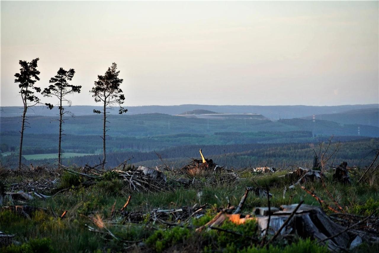 "Petite Perle En Haute Ardenne" Avec Vue Sur La Vallee, Cabine Infra-Rouge Et Bain Balneo Lierneux Εξωτερικό φωτογραφία